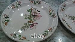 Rare 6 pieces vintage Portmerion countryside made in England Salad plates