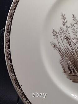 Wedgwood Marguerite Kirmse American Sporting Dog Plates Cocker Spaniel 27,5 Cm