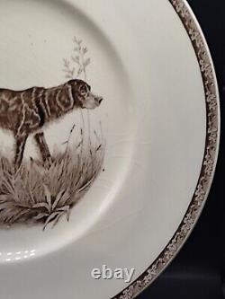 Wedgwood Marguerite Kirmse American Sporting Dog Plates Gordon Setter 27,5 Cm